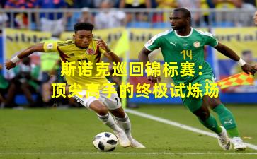 斯诺克巡回锦标赛：顶尖高手的终极试炼场