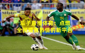 瓜子直播体育:点燃全民观赛热情的新平台