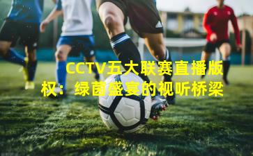 CCTV五大联赛直播版权：绿茵盛宴的视听桥梁