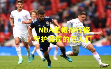 NBA盖帽排行榜：守护篮筐的巨人们