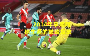 2014年李娜网球生涯的巅峰绽放