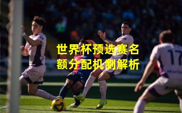 世界杯预选赛名额分配机制解析