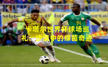 卡塔尔世界杯球场巡礼：沙漠中的绿茵奇迹