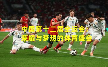 中国第十二届全运会：荣耀与梦想的体育盛会