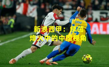 新浪西甲：绿茵烽火中的中国视角