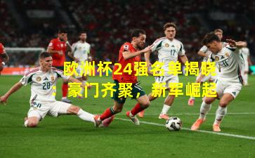 欧洲杯24强名单揭晓：豪门齐聚，新军崛起